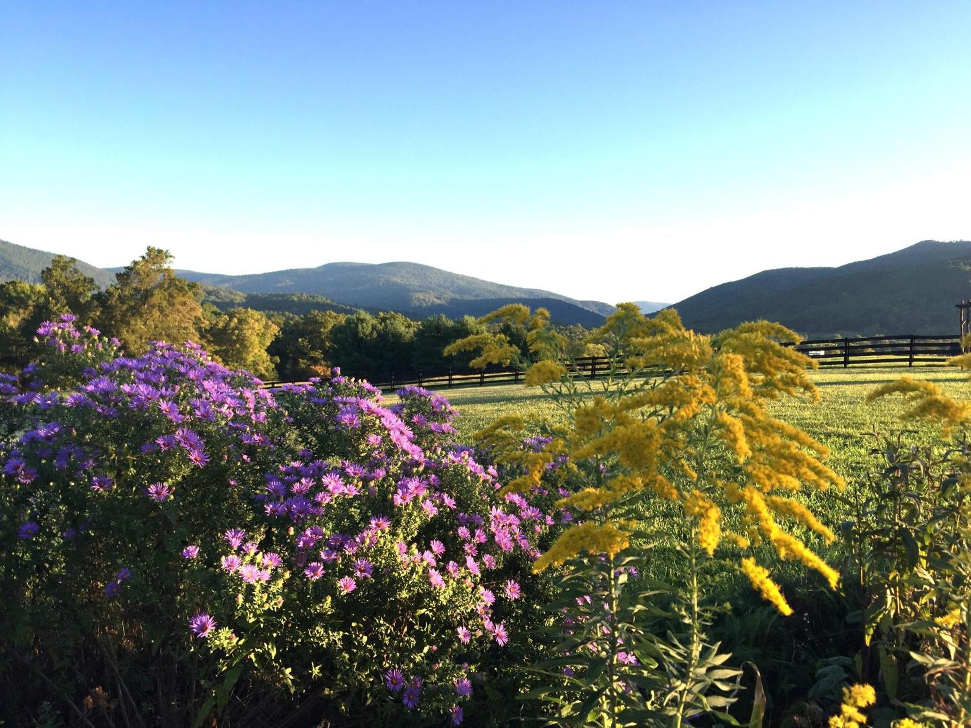 Montfair Resort Farm Crozet Bilik gambar