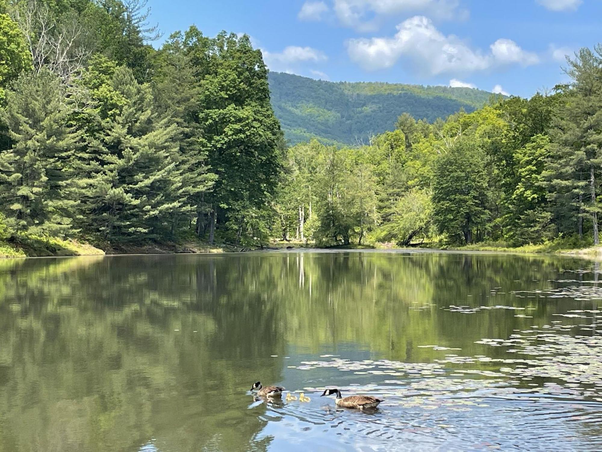 Montfair Resort Farm Crozet Luaran gambar