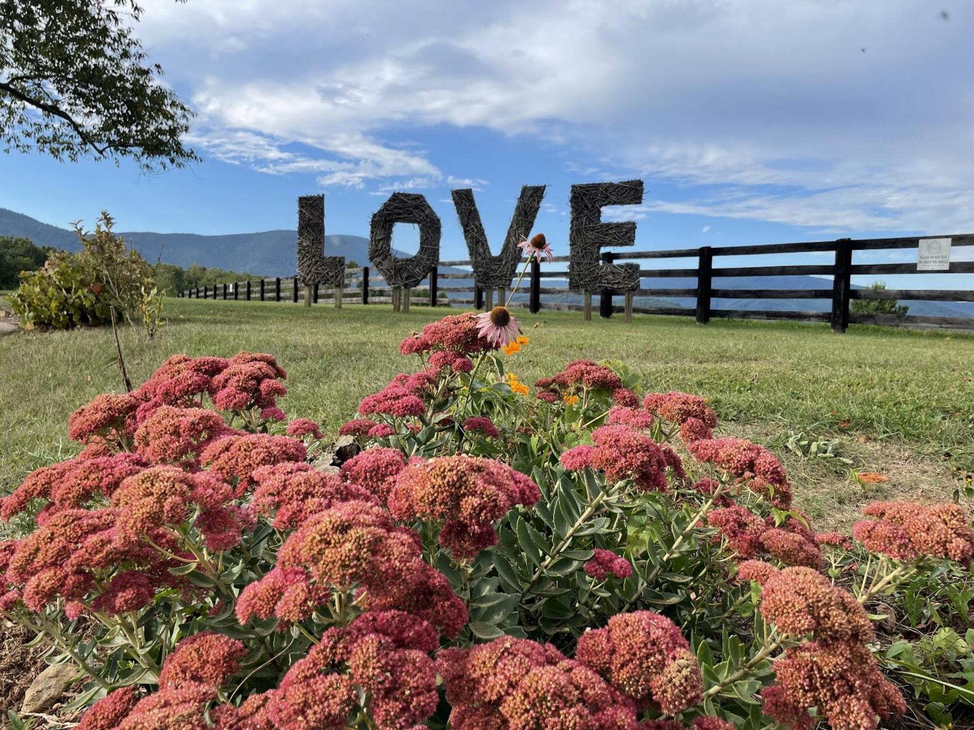 Montfair Resort Farm Crozet Bilik gambar